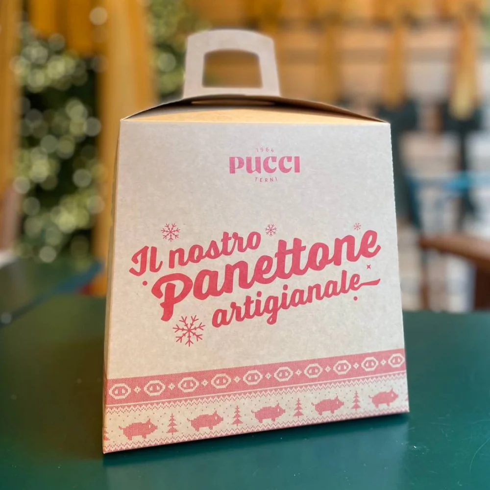 Panettone Artigianale Pucci - Image 2